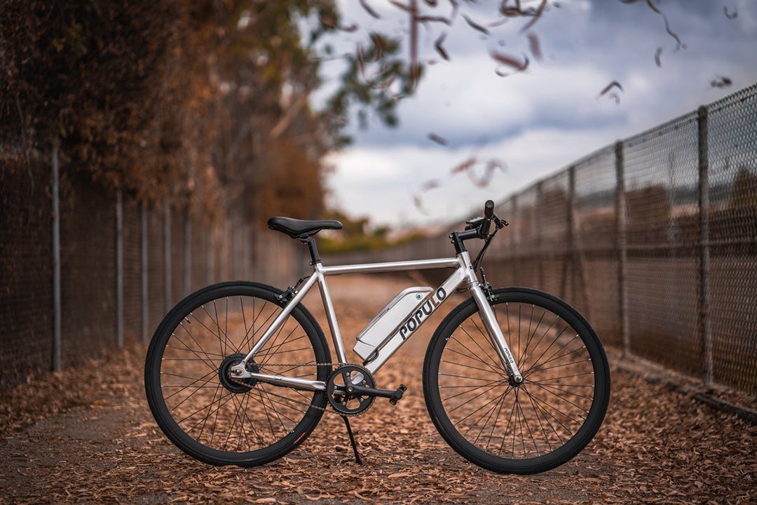 Populo Electric Bike